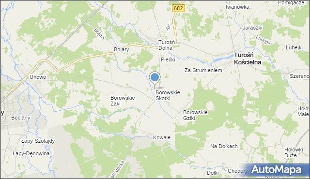 mapa Borowskie Skórki, Borowskie Skórki na mapie Targeo